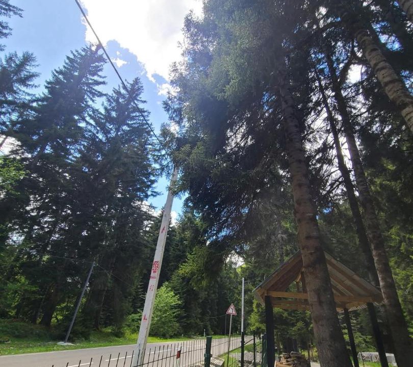 Photo of Others in Racha-Lechkhumi and Lower Svaneti