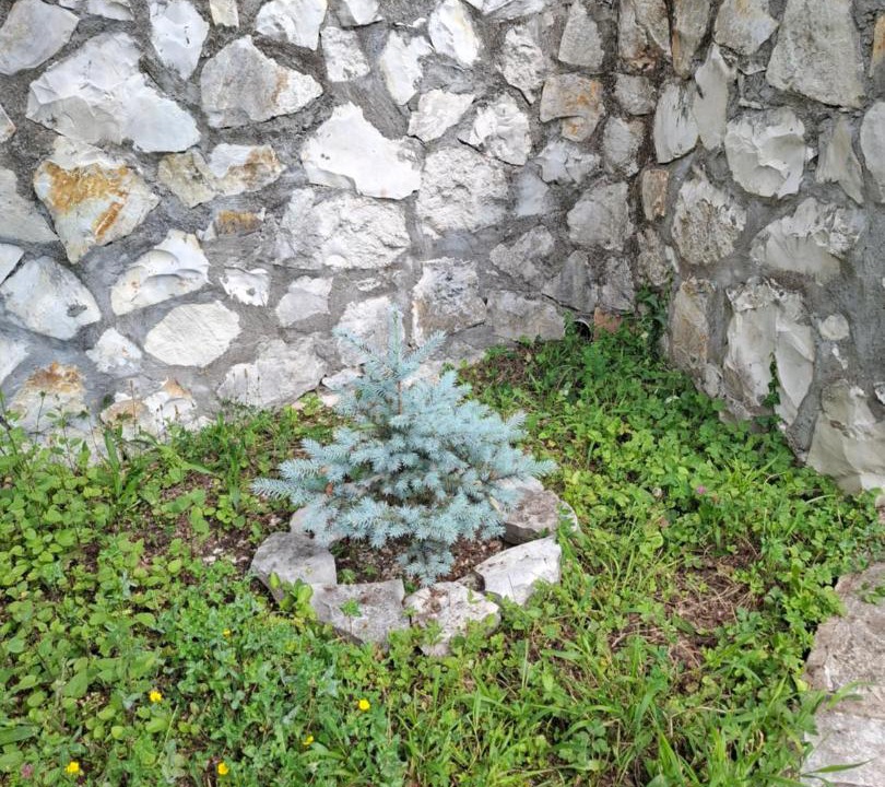 Photo of Others in Zeda Gordi