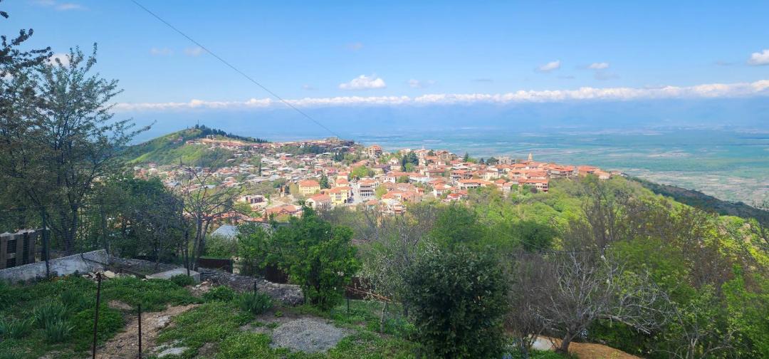 Photo of Others in Sighnaghi