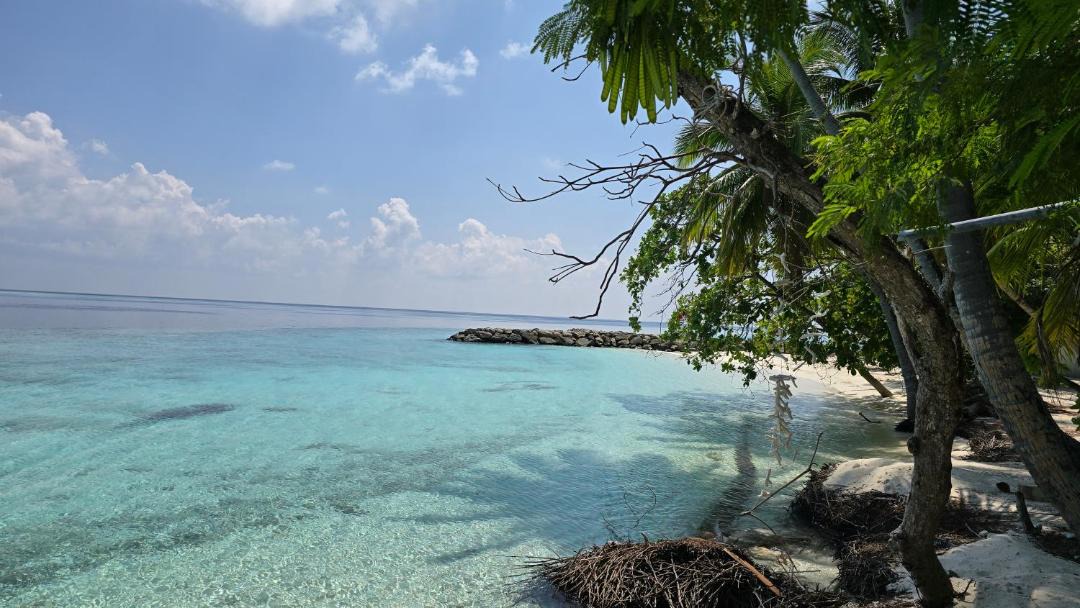 Photo of Others in Felidhoo