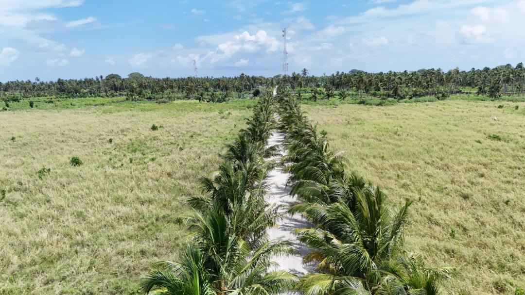 Photo of Others in Thoddoo