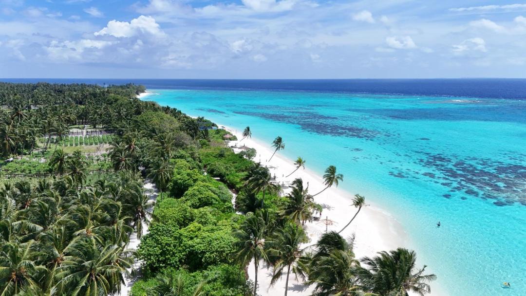 Photo of Others in Thoddoo