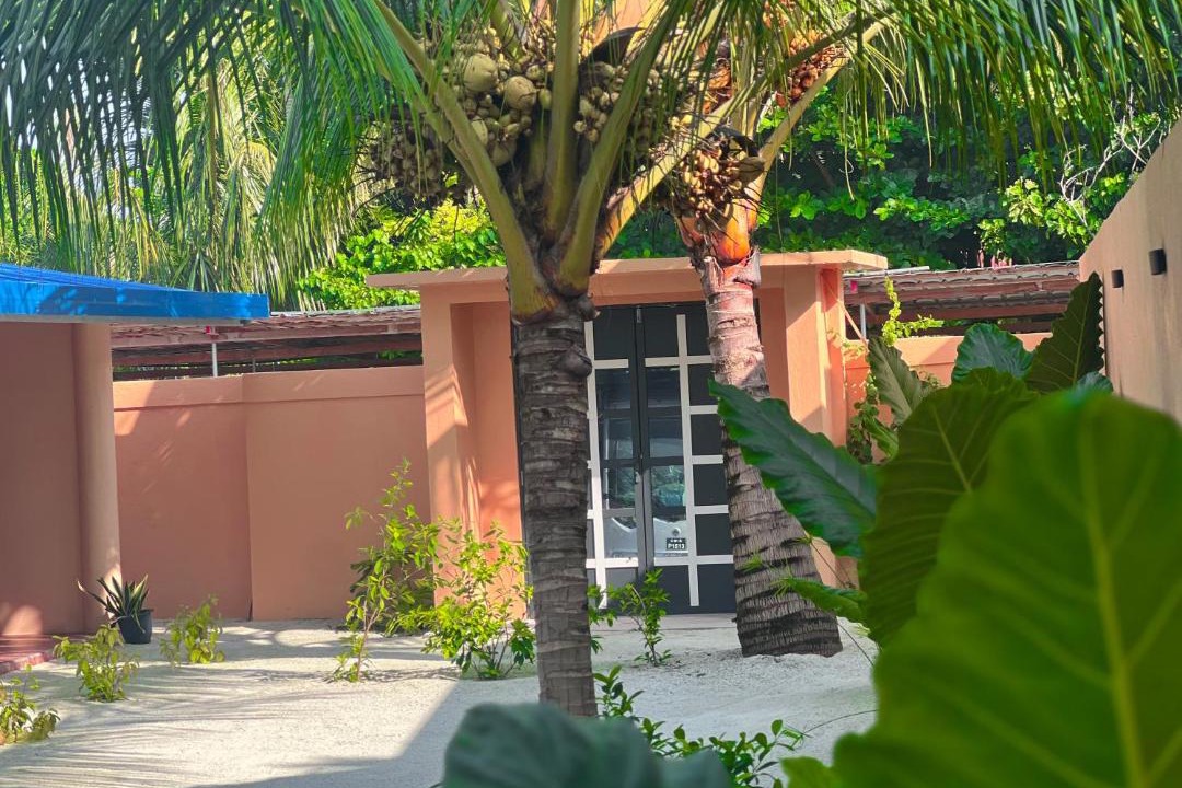 Photo of Others in Thoddoo