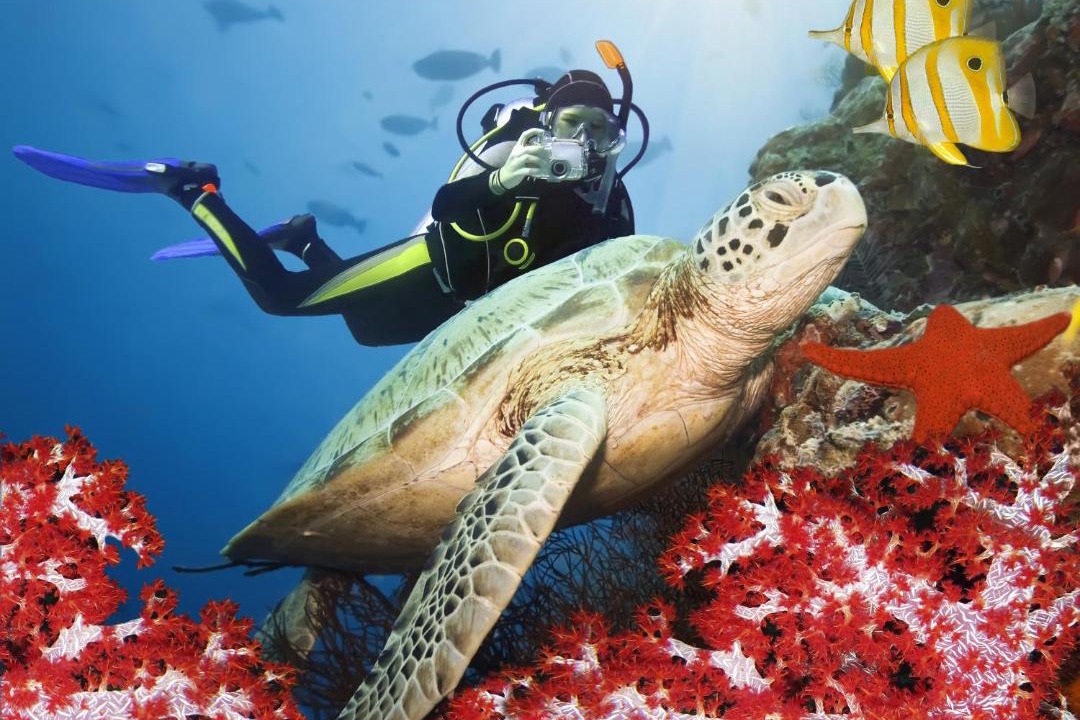 Photo of Others in Iru Fushi