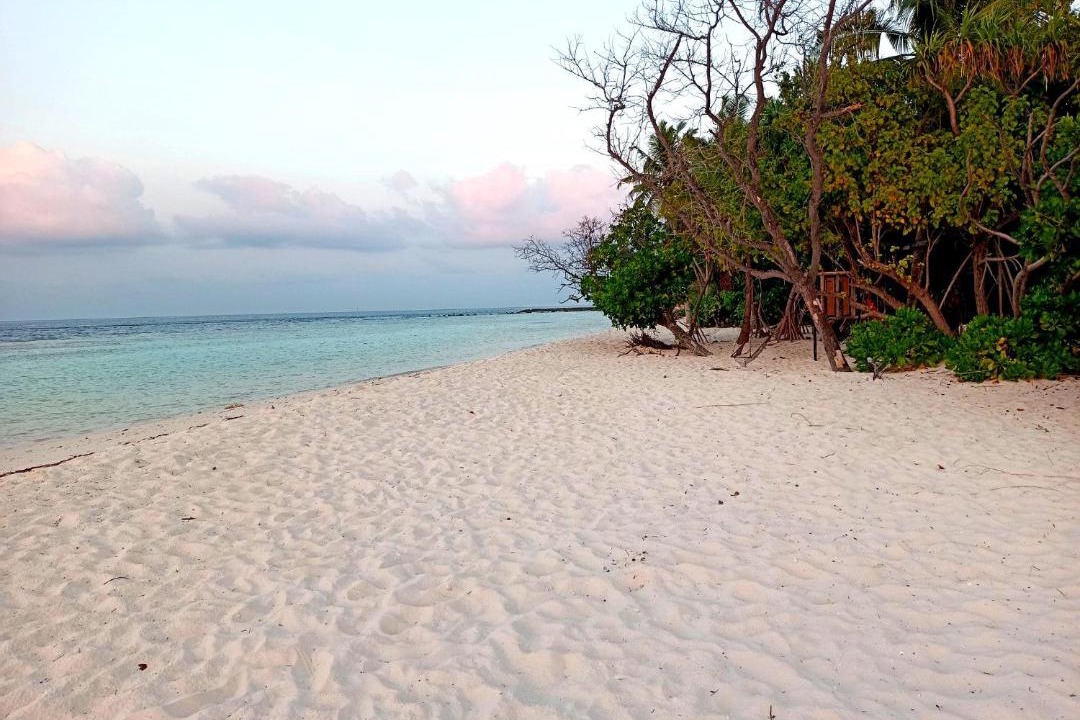 Photo of Others in Omadhoo