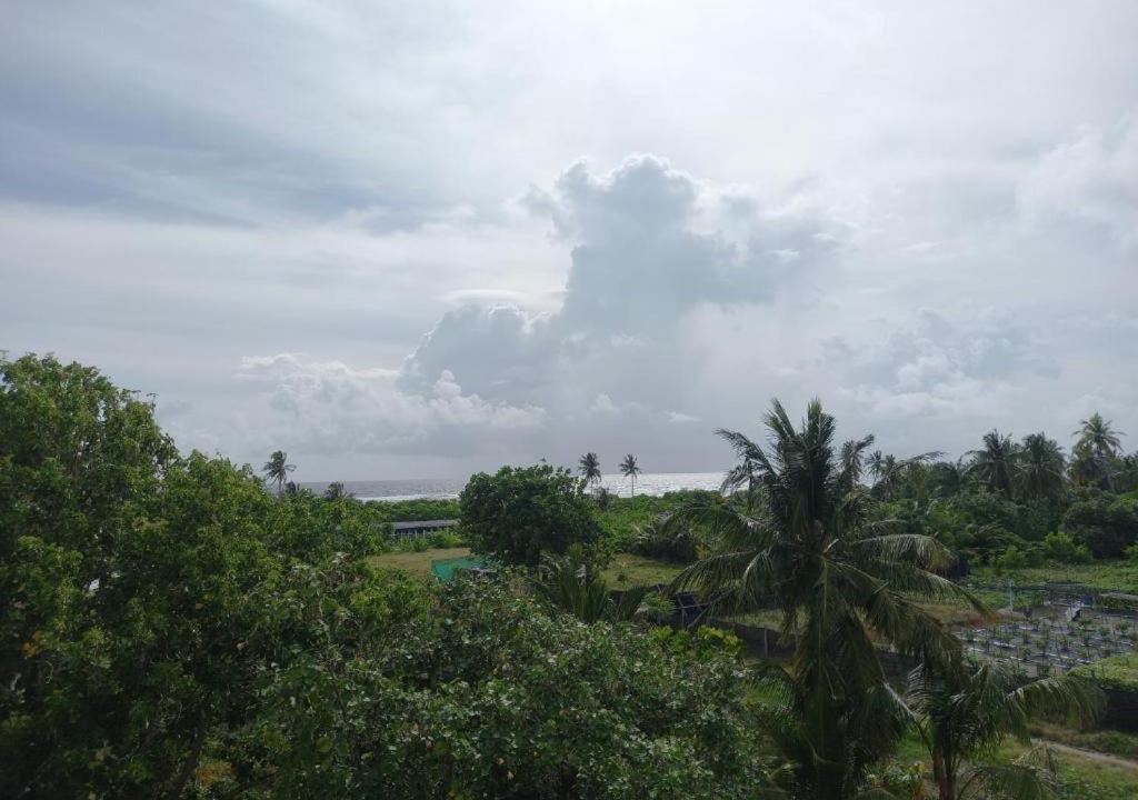 Photo of Others in Fiyoari Island