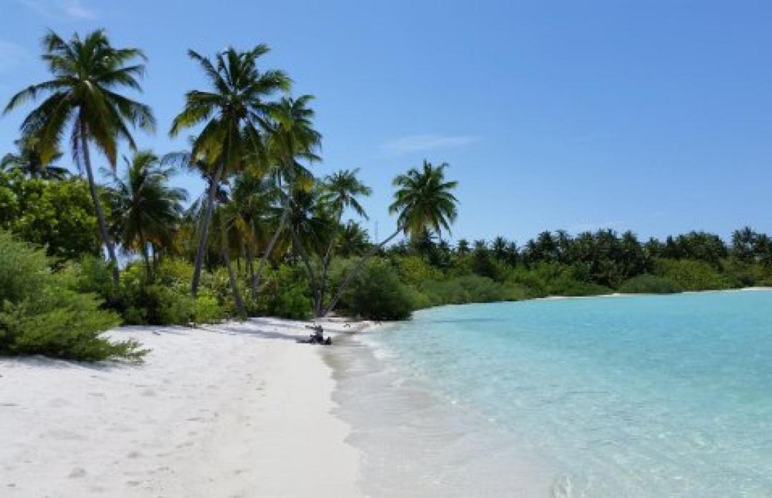 Photo of Others in Rakeedhoo