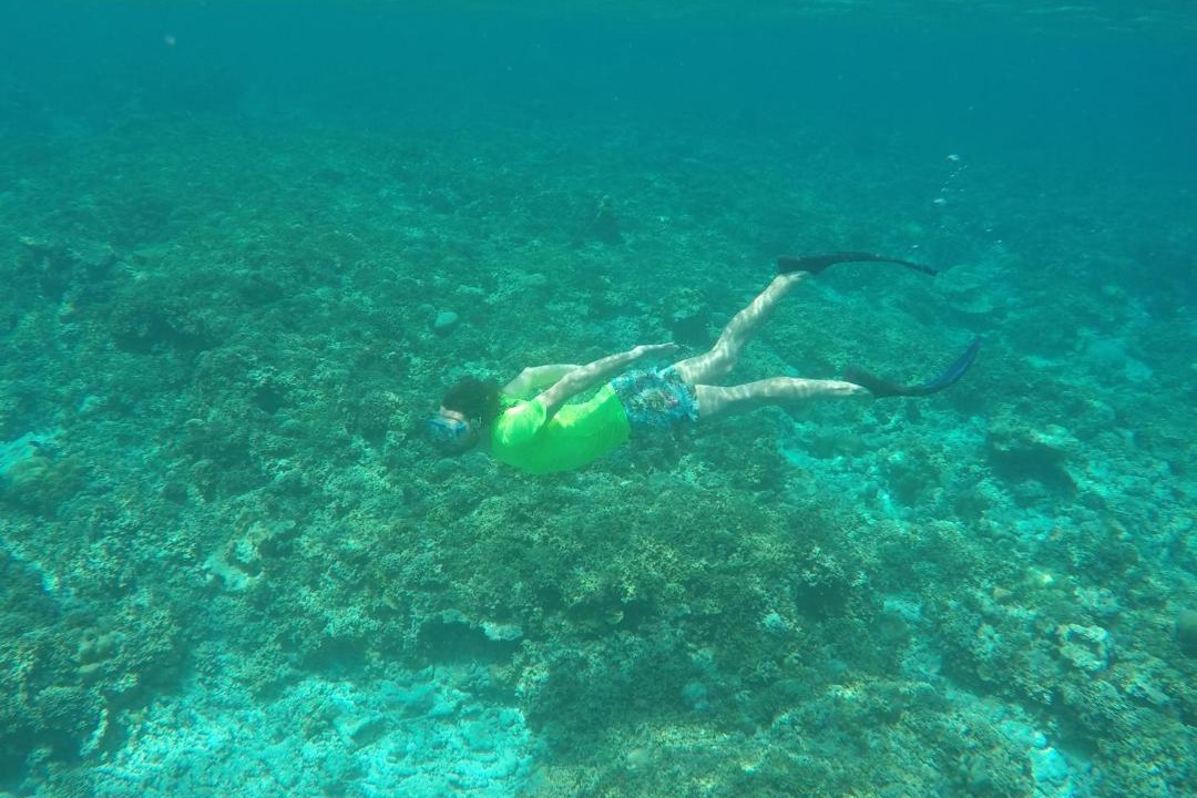 Photo of Others in Milandhoo