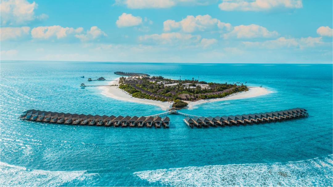 Photo of Others in Kottefaru