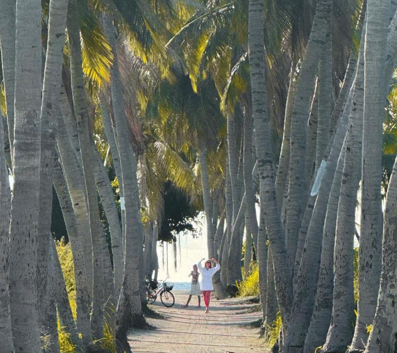Photo of Others in Thoddoo
