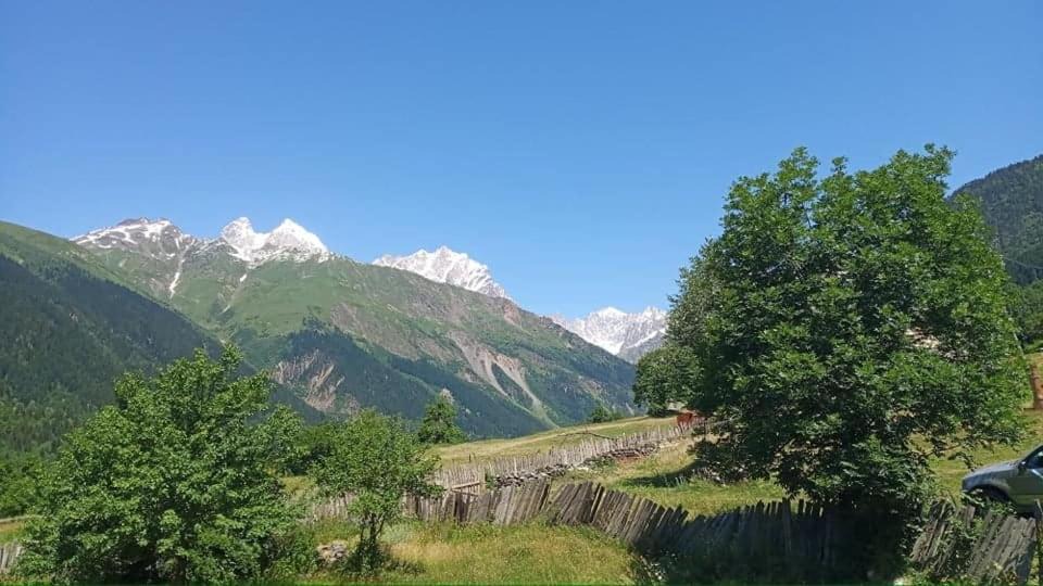 Photo of Others in Bagvdanari