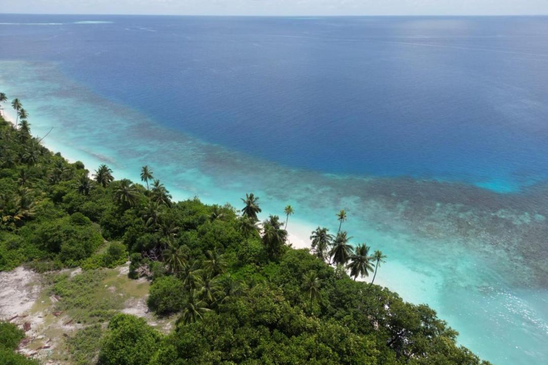 Photo of Others in Thimarafushi