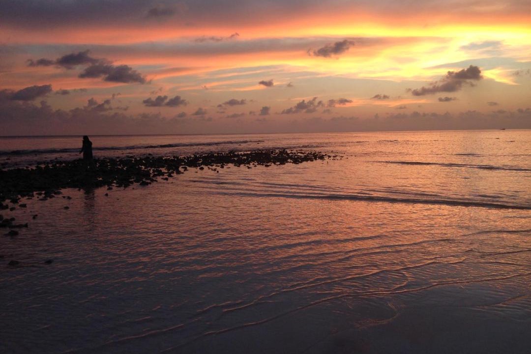 Photo of Others in Thoddoo