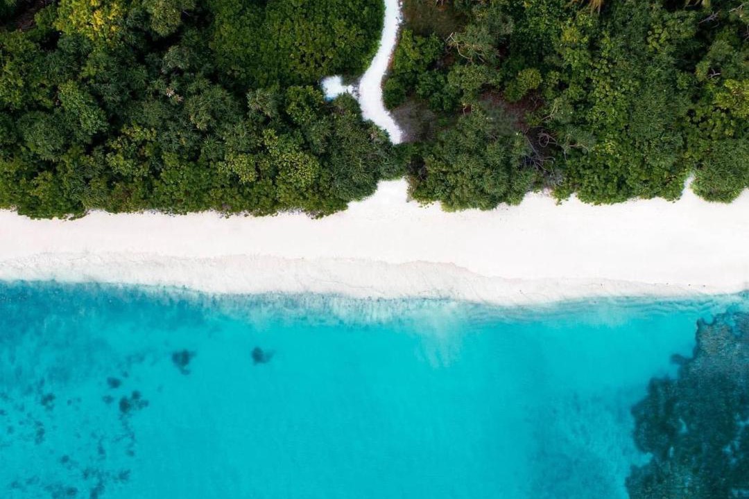 Photo of Others in Kaashidhoo