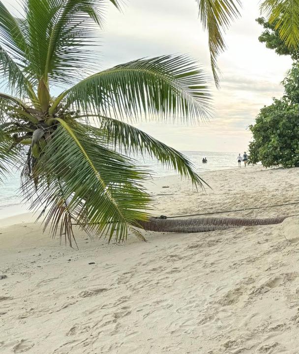 Photo of Others in Felidhoo