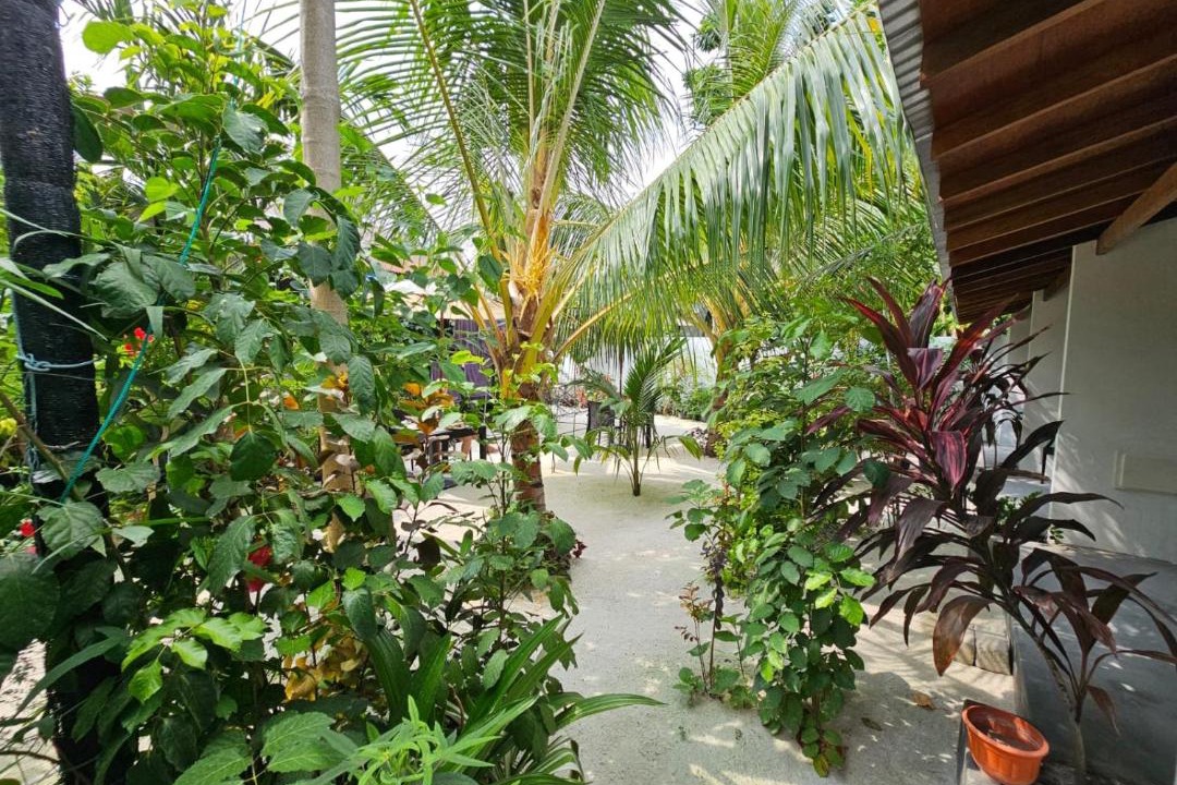 Photo of Others in Thoddoo