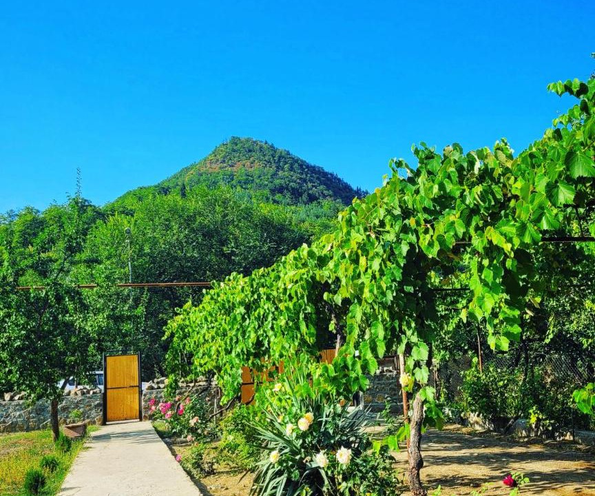 Photo of Others in Likani