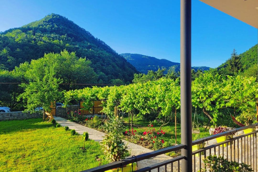 Photo of Patio Balcony in Likani