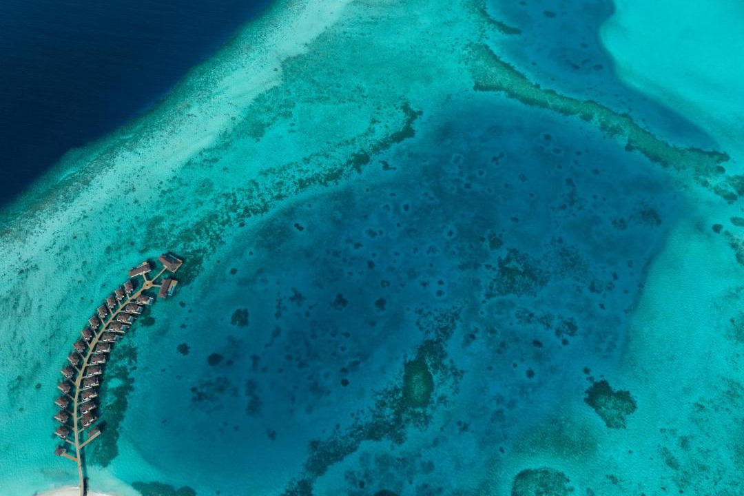 Photo of Others in Baa Atoll
