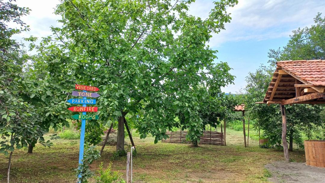 Photo of Others in Vedzebi