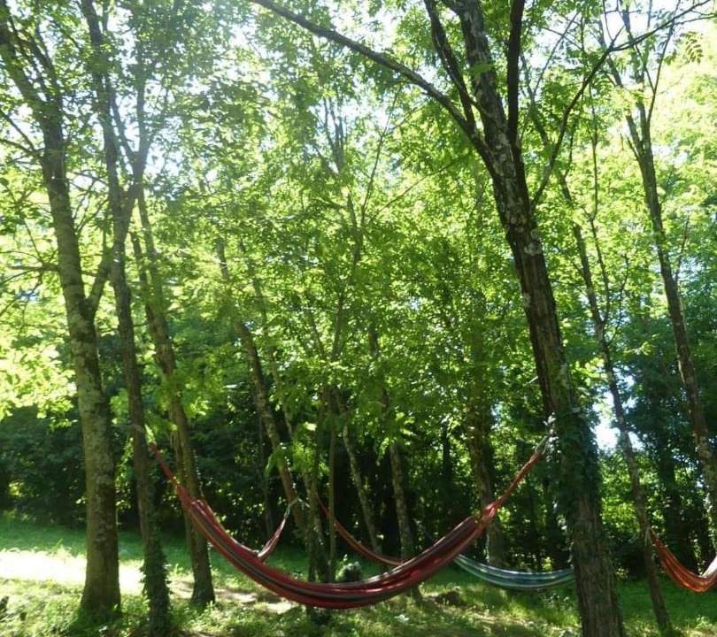 Photo of Outdoor in Tsqaltubo