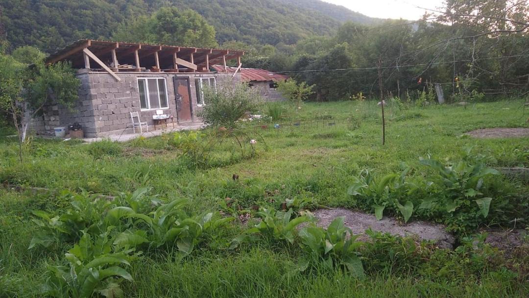 Photo of Others in Racha-Lechkhumi and Lower Svaneti