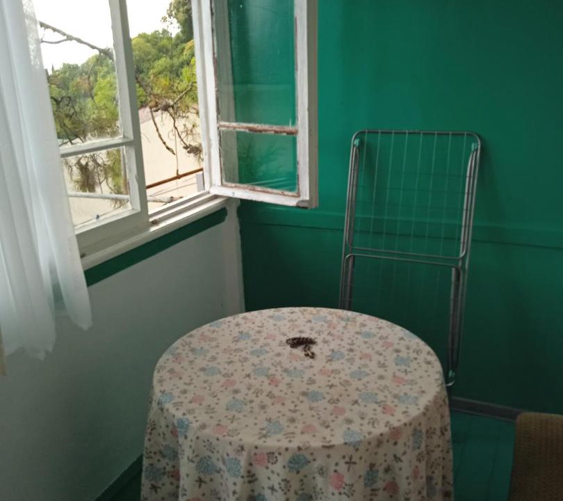 Photo of Others in Gagra
