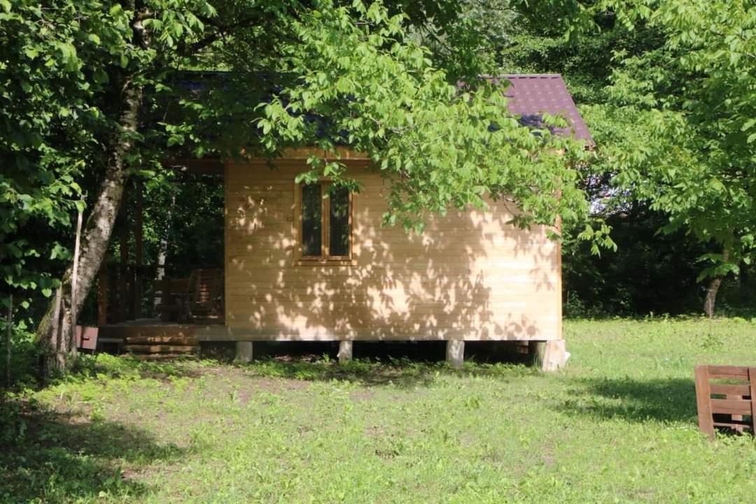 Photo of Others in Ambrolauri