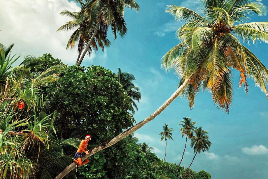 Photo of Others in Thaa Atoll