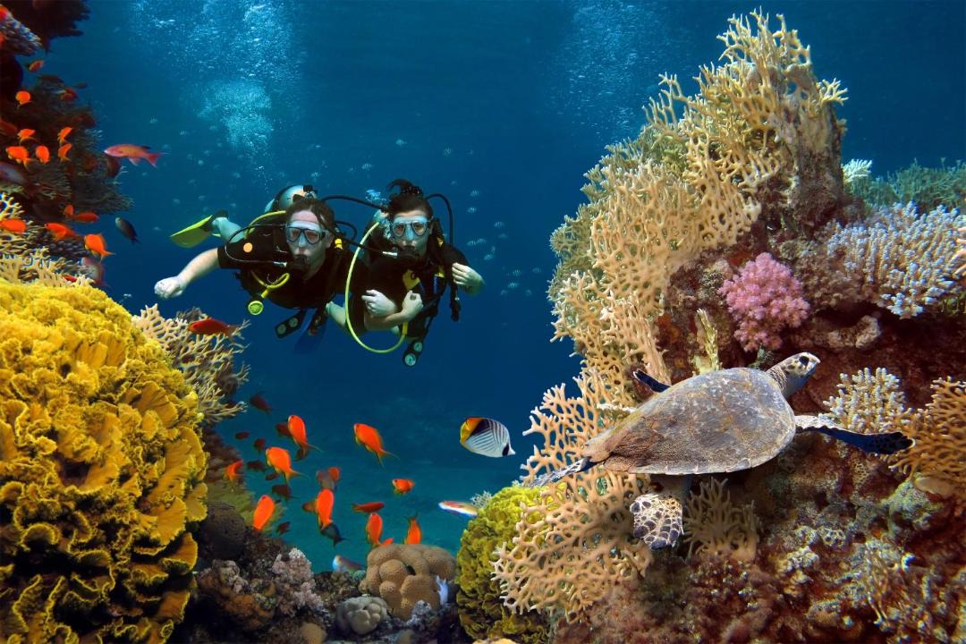 Photo of Others in Baa Atoll