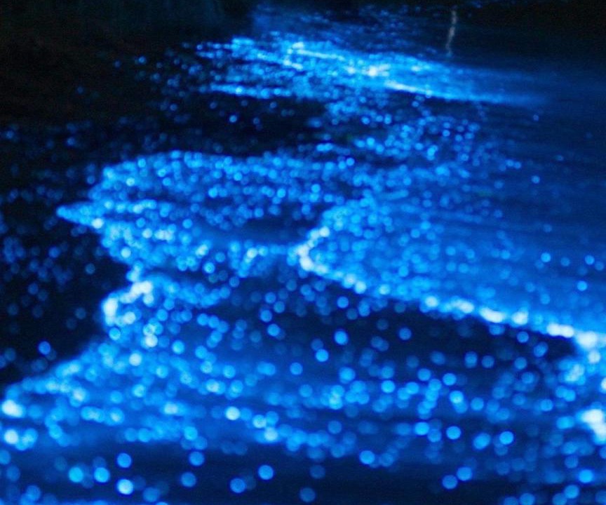 Photo of Others in Rasdhoo
