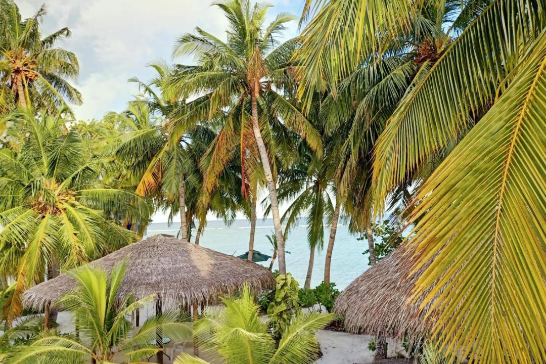 Photo of Others in Magoodhoo