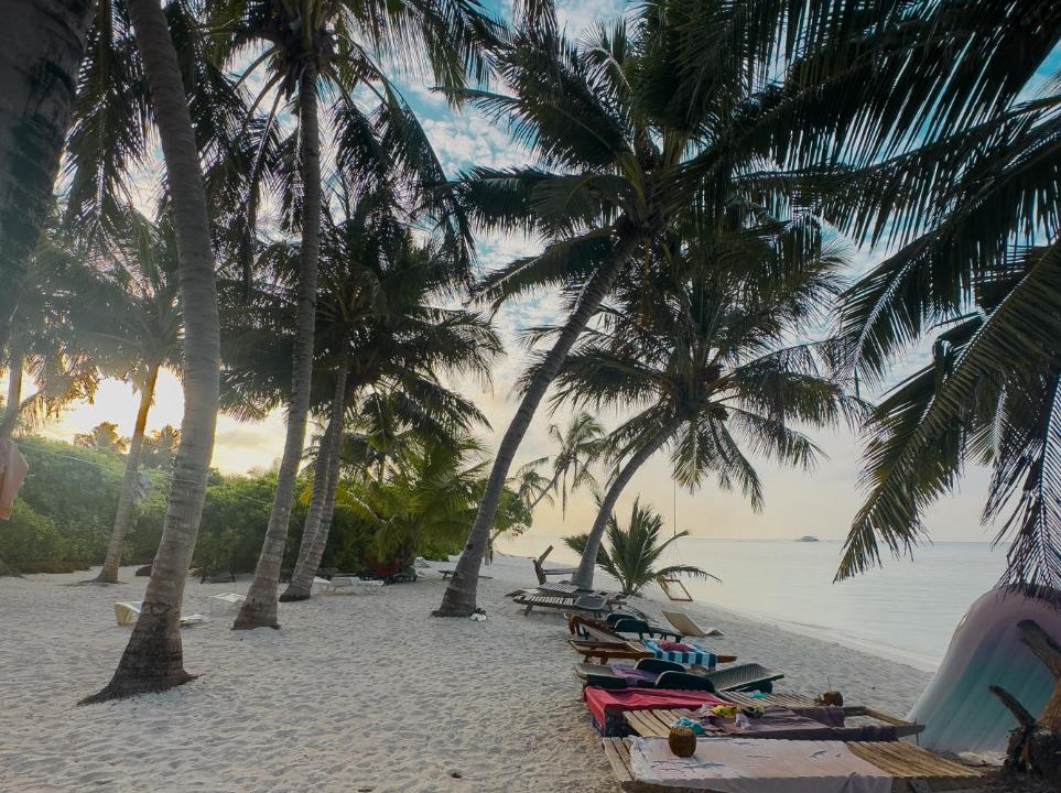 Photo of Others in Thoddoo