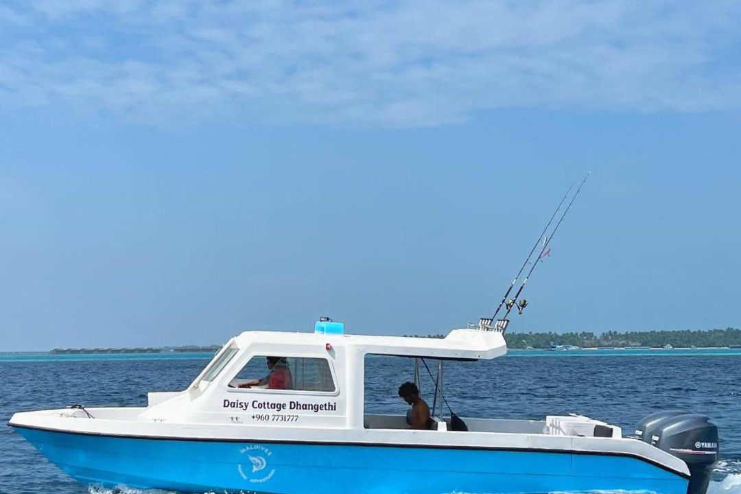 Photo of Others in Dhangethi