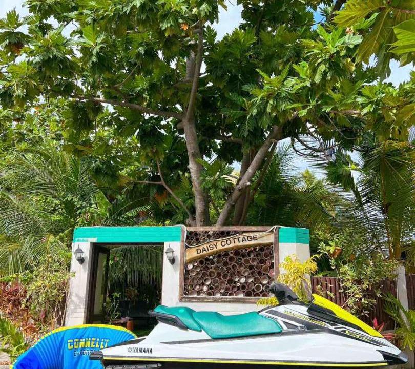 Photo of Others in Dhangethi