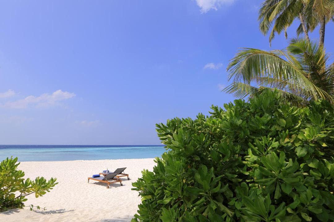 Photo of Others in Baa Atoll