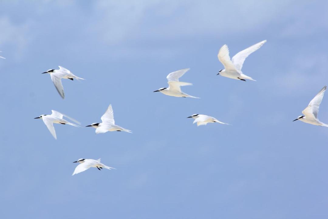 Photo of Others in Rasdhoo