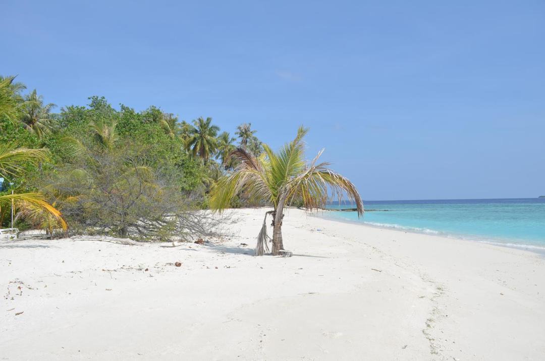 Photo of Outdoor in Manadhoo