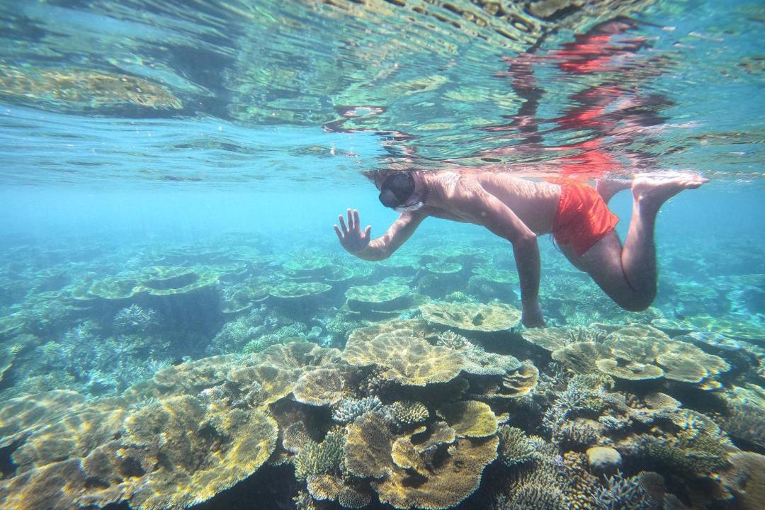 Photo of Others in Ukulhas