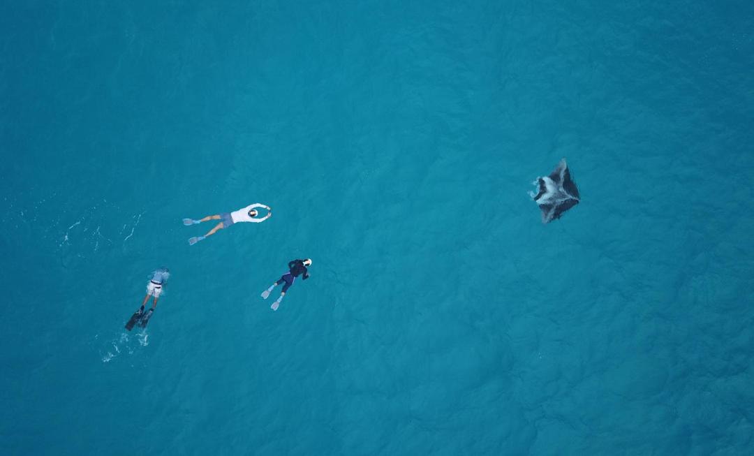 Photo of Human In Picture in Feridhoo