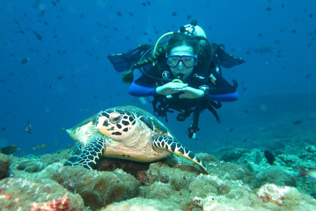 Photo of Others in Felidhoo