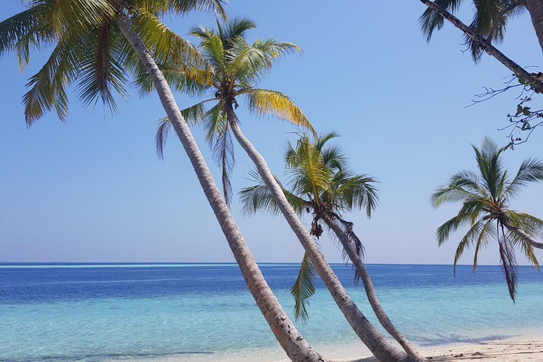 Photo of Others in Felidhoo