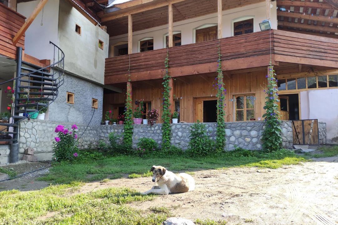 Photo of Others in Bagvdanari