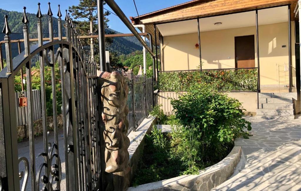 Photo of Others in Borjomi