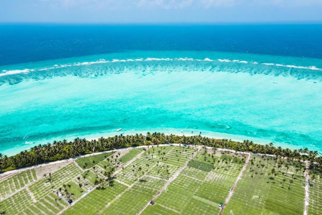 Photo of Outdoor in Thoddoo