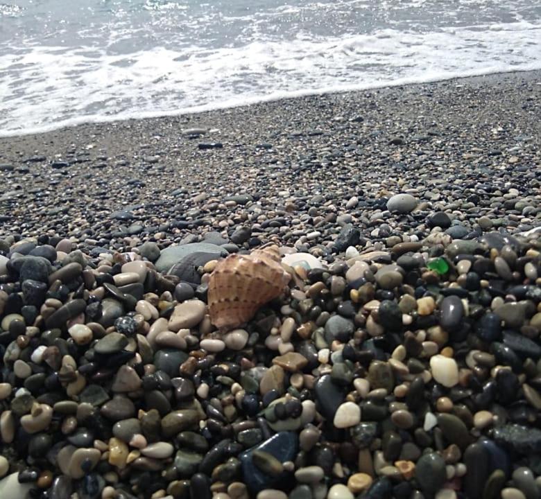 Photo of Others in Gagra