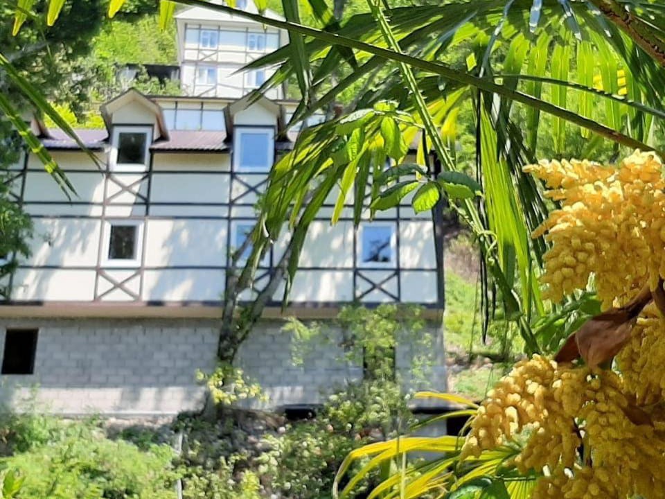 Photo of Buildings in Gagra