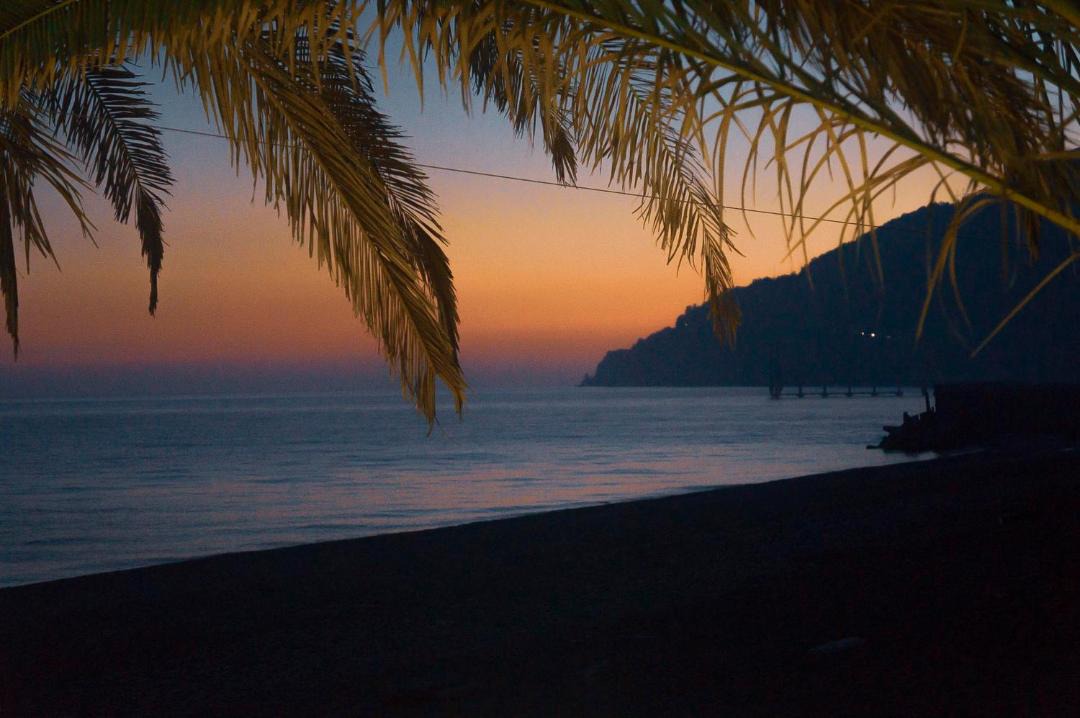 Photo of Outdoor in Gagra