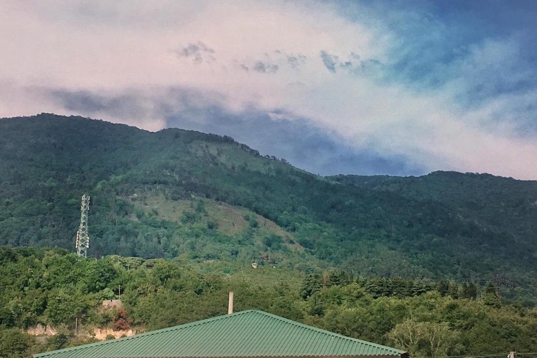 Photo of Outdoor in Gagra