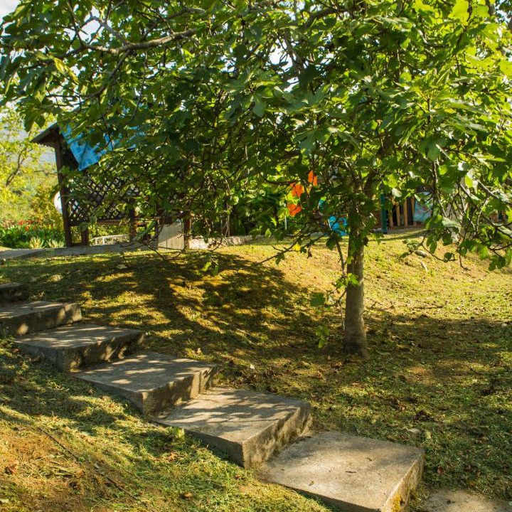 Photo of Outdoor in Tsandripsh